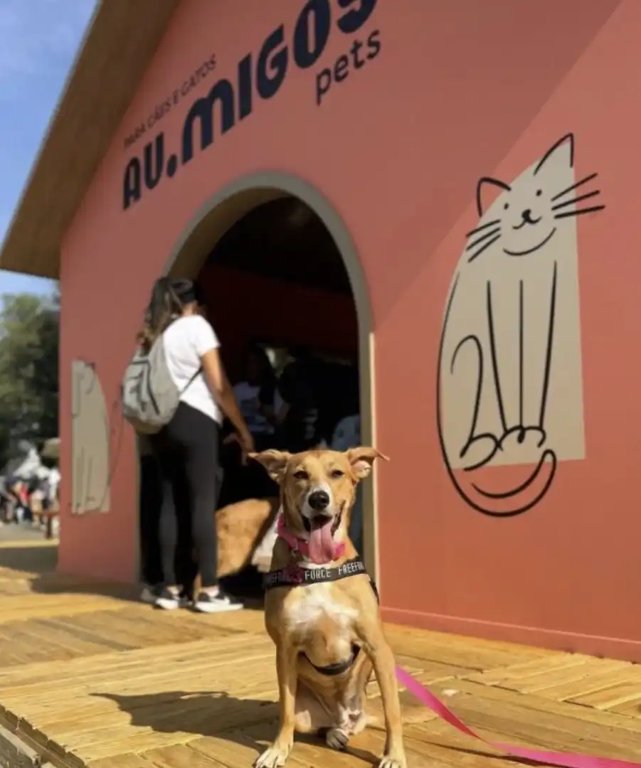 Cachorro caramelo sorrindo e com a língua de fora, sentado em um piso de madeira. Ele usa uma coleira preta com a escrita "FREEFIRE FORCE" e uma guia rosa. Ao fundo, uma parede rosa com desenhos e pessoas embaçadas