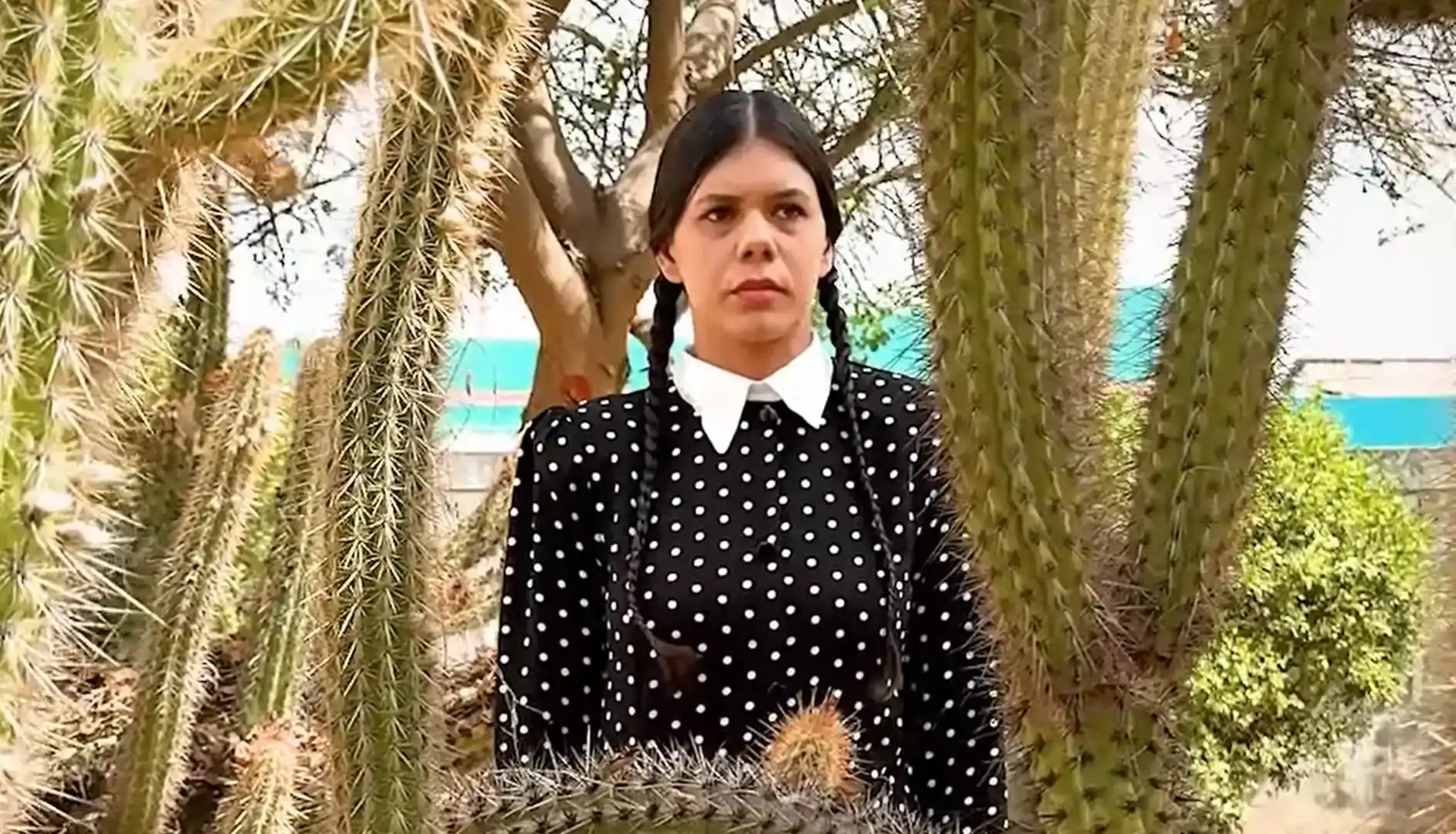 Mulher vestida de Wandinha Addams, com tranças e um vestido de bolinhas, em pé no meio de cactos altos.