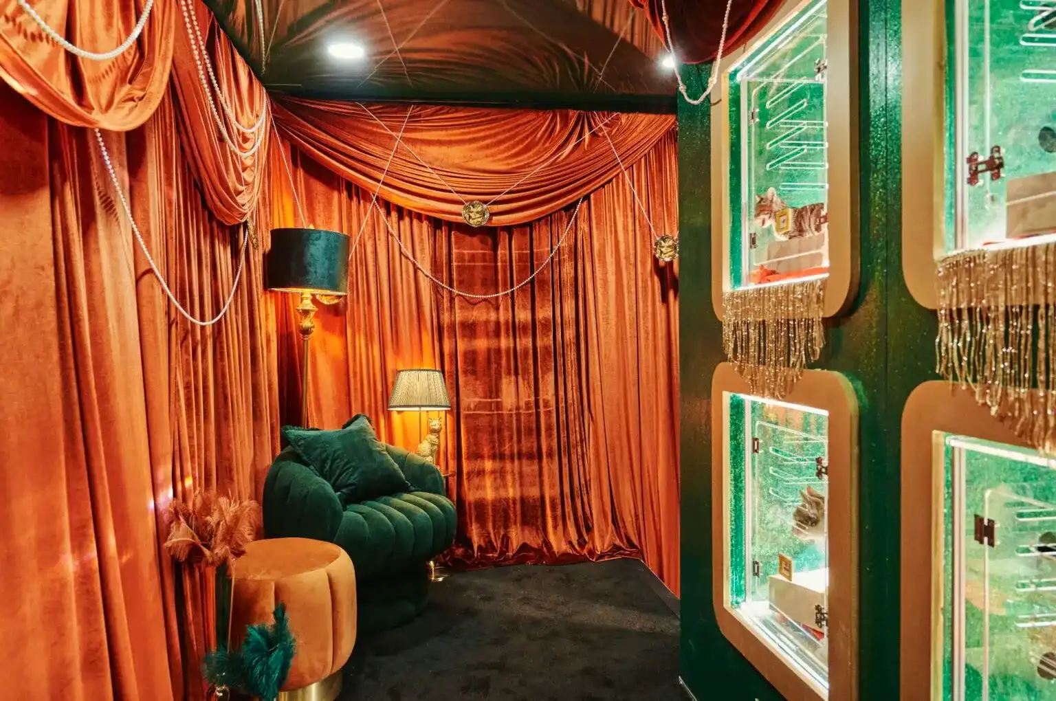 Sala luxuosa com cortinas de veludo laranja, poltrona e pufe de veludo verde e caixas verdes iluminadas com gatos.