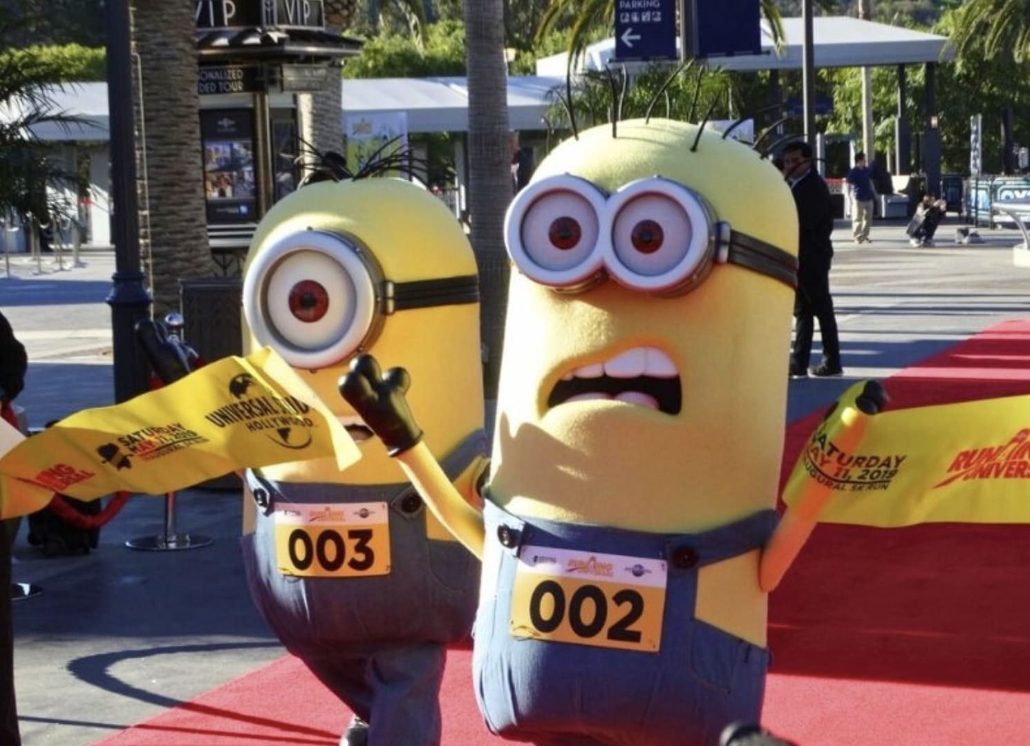 Dois personagens Minions fantasiados (números 002 e 003) correndo em um tapete vermelho, segurando uma faixa de linha de chegada amarela.